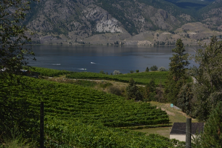 lakeshore community